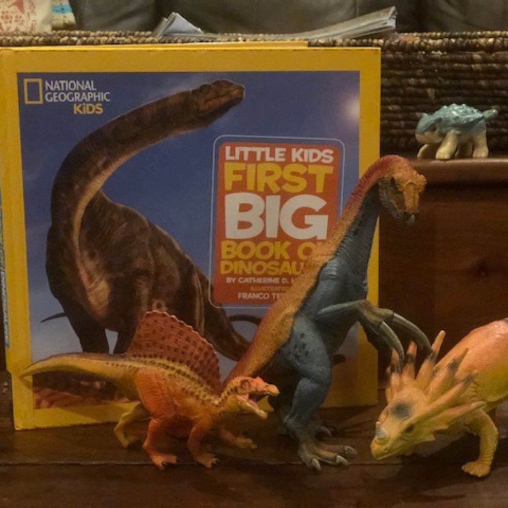 Lot of Toy Dinosaurs w/ National Geographic Dinosaur Book